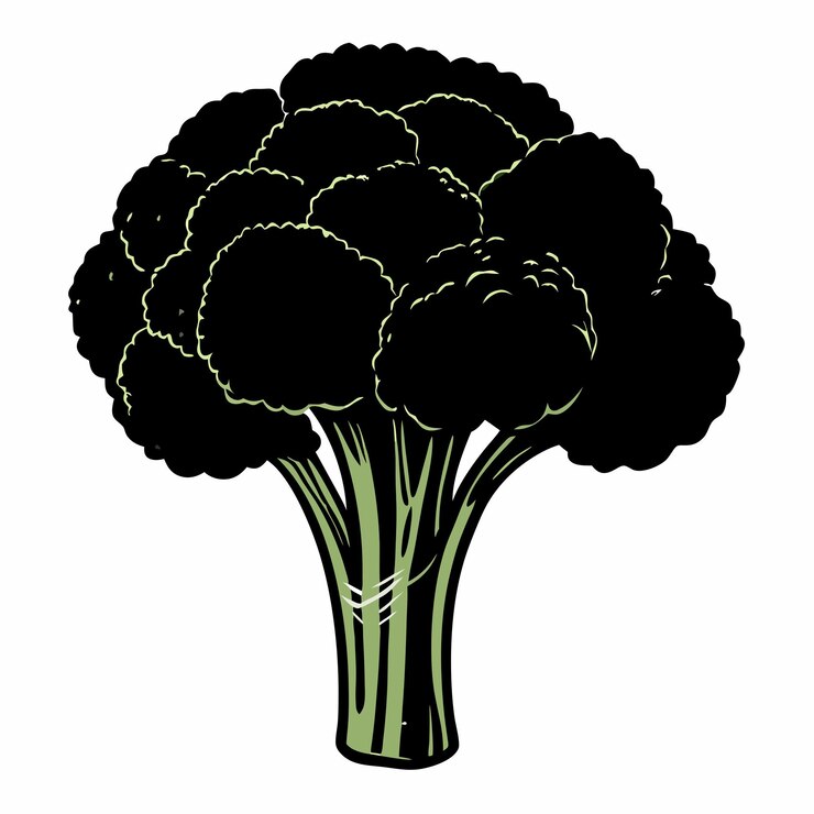Vector a drawing of a broccoli with the words cauliflower on it