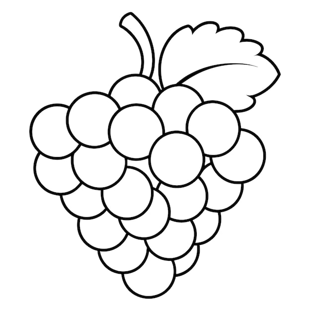 Vector a drawing of a bunch of grapes with a drawing of a strawberry