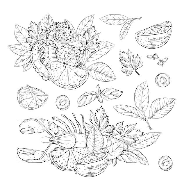 Vettore un disegno di granchio e noci di cocco con foglie e semi.