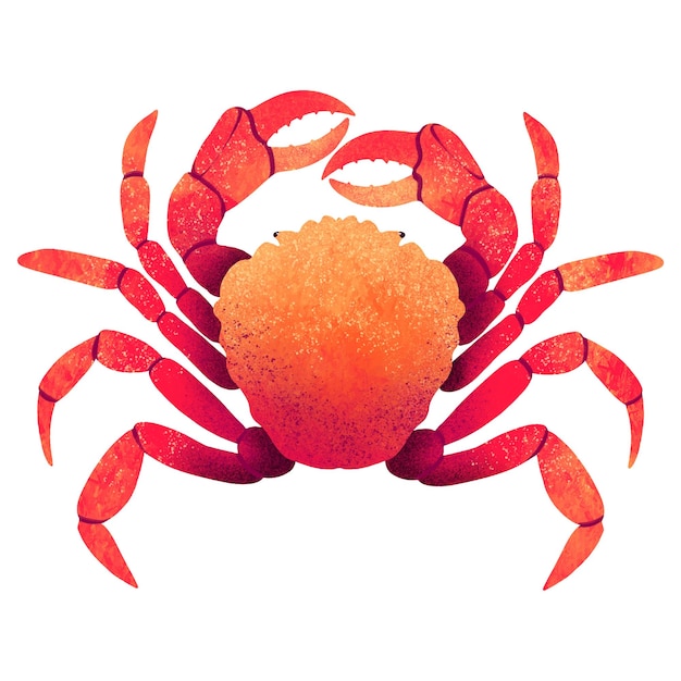 Vector drawing digital crab live red design trends with gradients