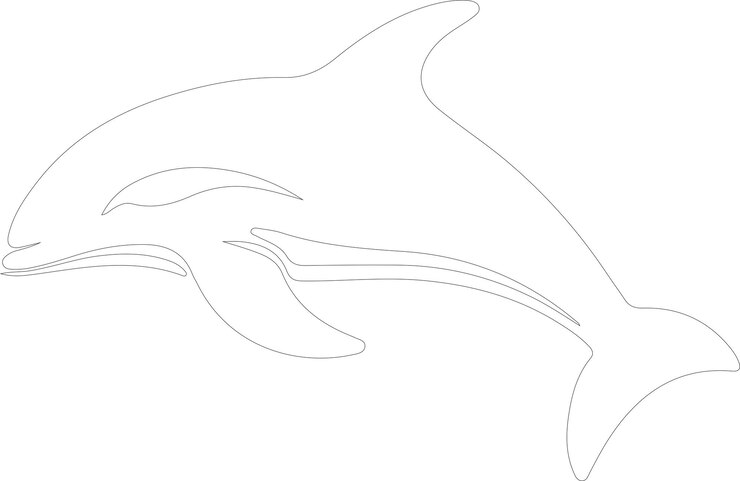 Vector a drawing of a dolphin that has the word dolphin on it