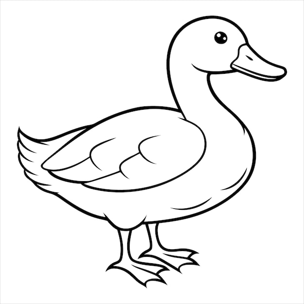 白い背景のアヒルの絵でアヒルと書かれています
