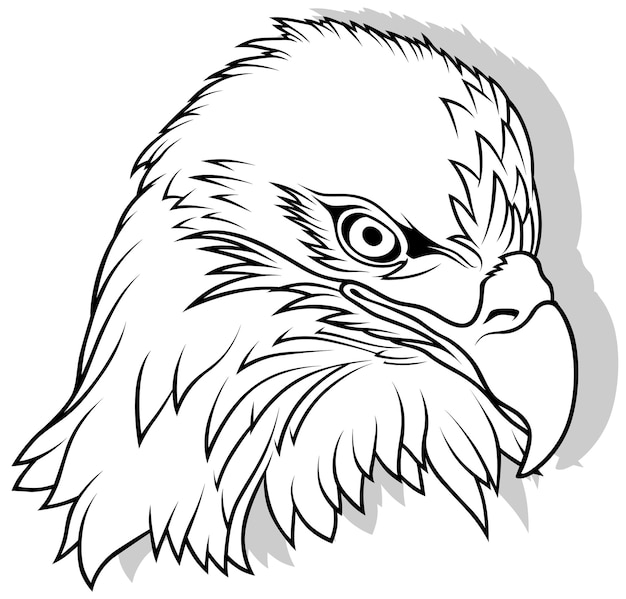 Vector drawing of eagle head