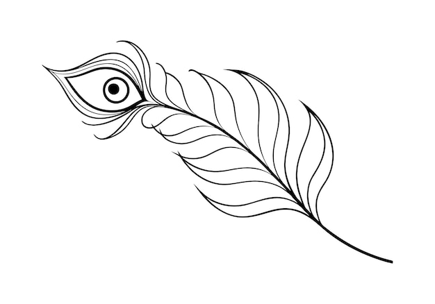 a drawing of a feather with an eye drawn on it