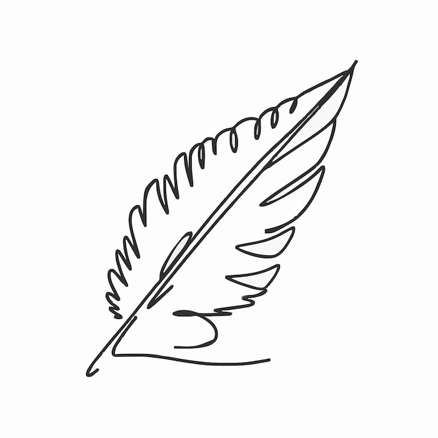 Vector a drawing of a feather with a feather on it