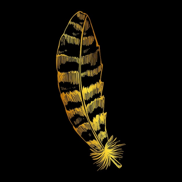 A drawing of a feather with gold stripes on it