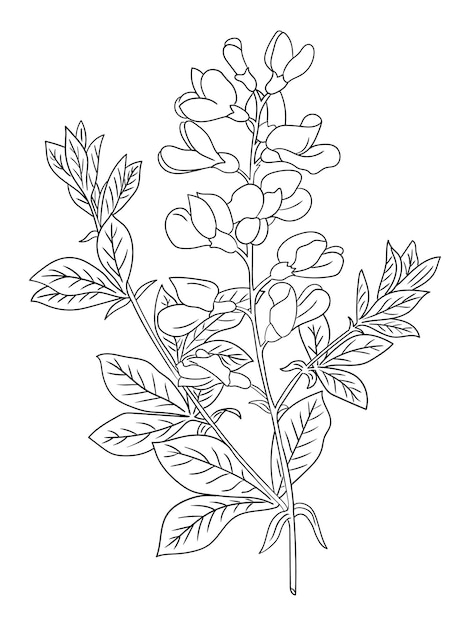 a drawing of a flower with the leaves of a plant
