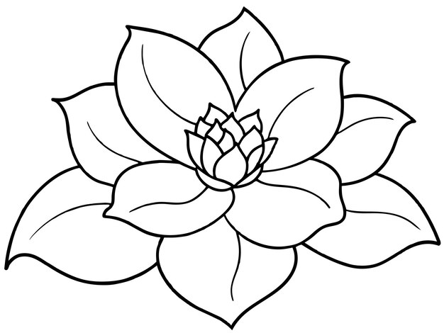 Vector a drawing of a flower with a line drawing of a lotus flower