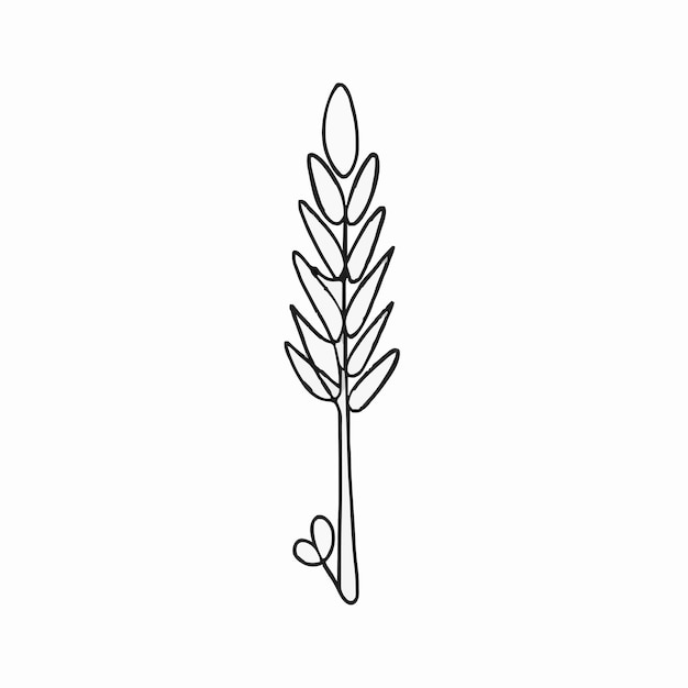 Vector a drawing of a flower with a long stem