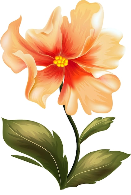 一朵花的圖片上有"百合"這個字