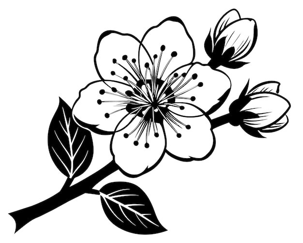 a drawing of a flower with the word