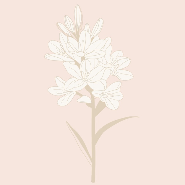 5月の花の絵を描く