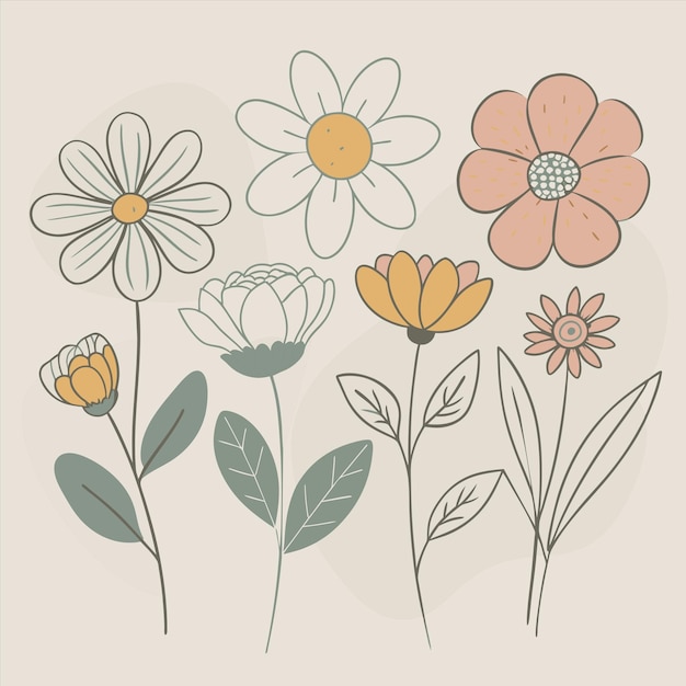 Vector a drawing of flowers with different colors and a picture of them