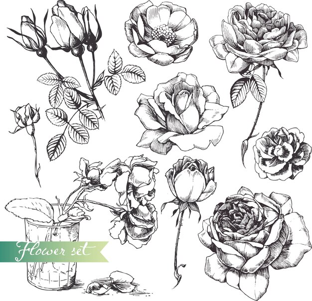 Vector a drawing of flowers with a large flower in the middle