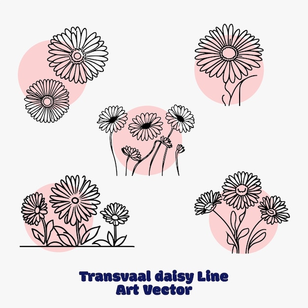 A drawing of flowers with the words transdra daisy line art vector on it.