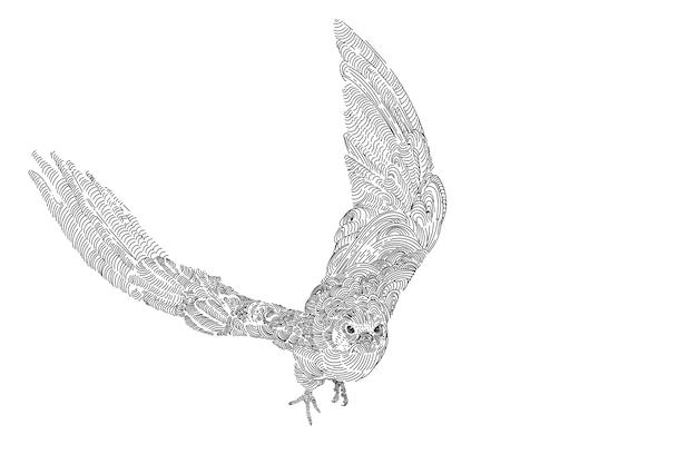 Drawing of flying amur falcon bird isolated on white background