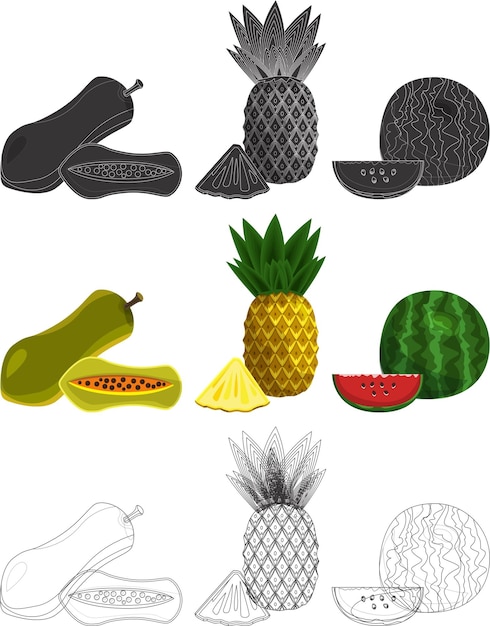 A drawing of a fruit and a melon