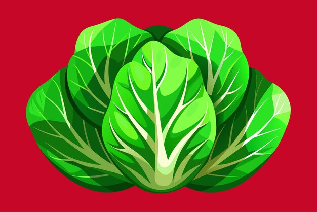 Vector a drawing of a green leafy vegetable on a red background