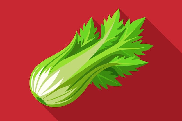 Vector a drawing of a green vegetable on a red background