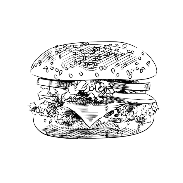 Vector a drawing of a hamburger