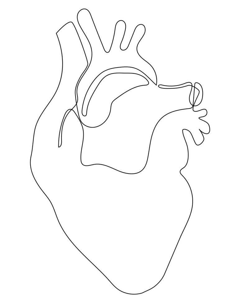 Vector a drawing of a heart with the word human on it