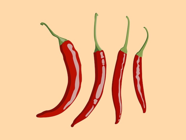 Vettore un disegno di peperoncini piccanti con la parola peperoncino in alto.