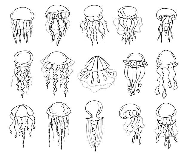 A drawing of jellyfish with different sizes.