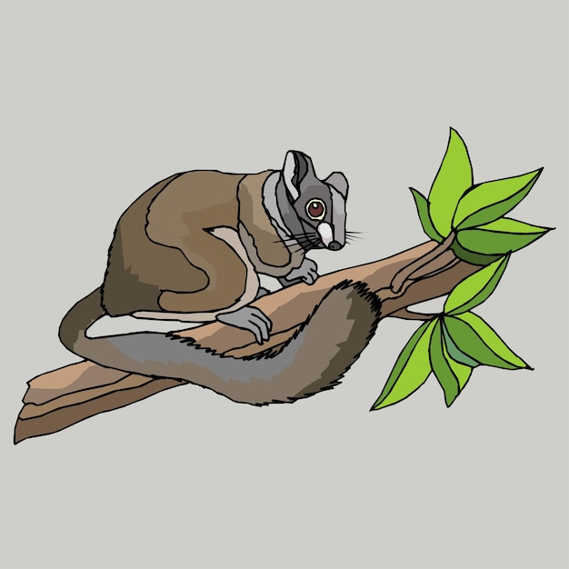 A drawing of a lemur on a branch with green leaves