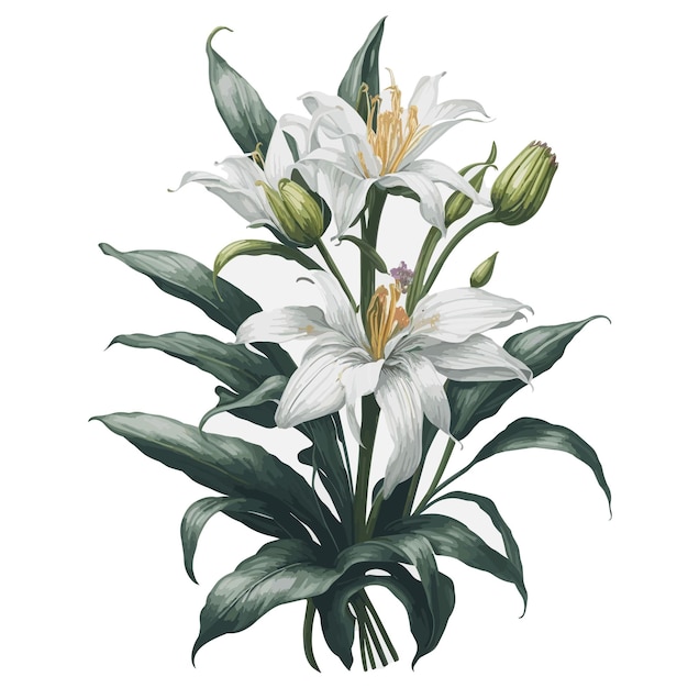 a drawing of a lily with the date of the year