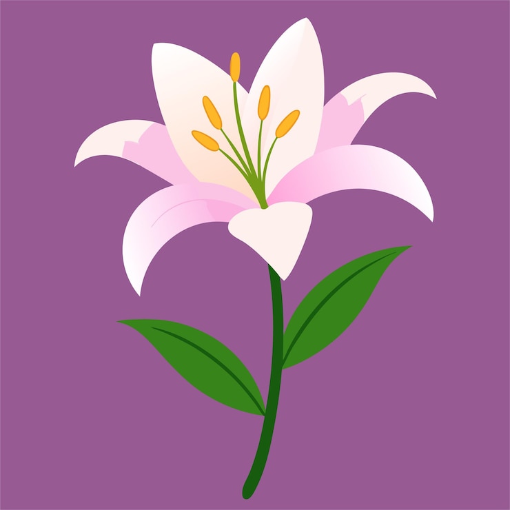 Vector a drawing of a lily with a pink flower on it