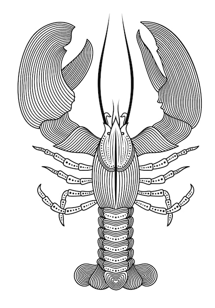 A drawing of a lobster with a spiral design.