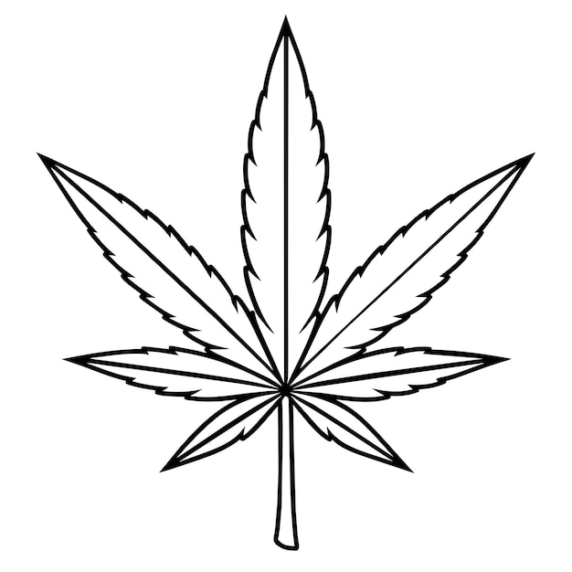 рисунок листа марихуаны с листом на нем
