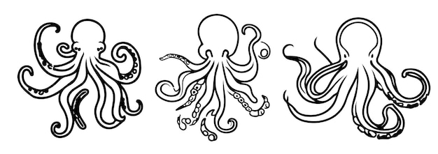 Vector a drawing of a octopus with the word octopus on it