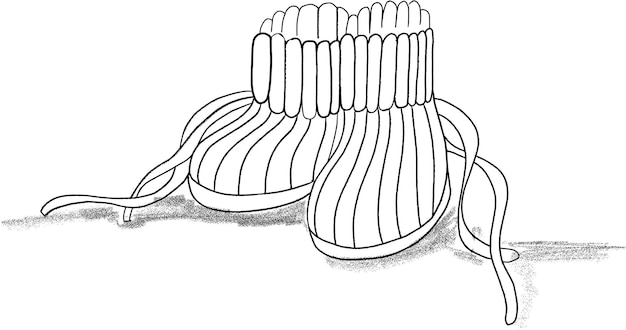 Vettore un disegno di un paio di stivali con la scritta inverno sul fondo.