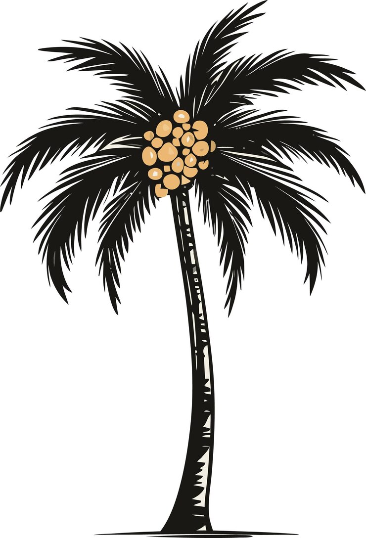 Vector a drawing of a palm tree with a star on it