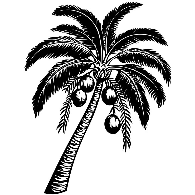 Vector a drawing of a palm tree