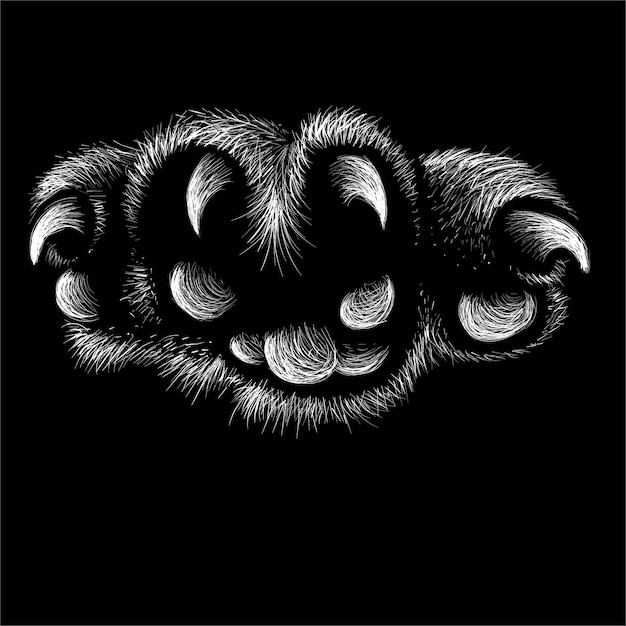 Vector drawing paw with claws