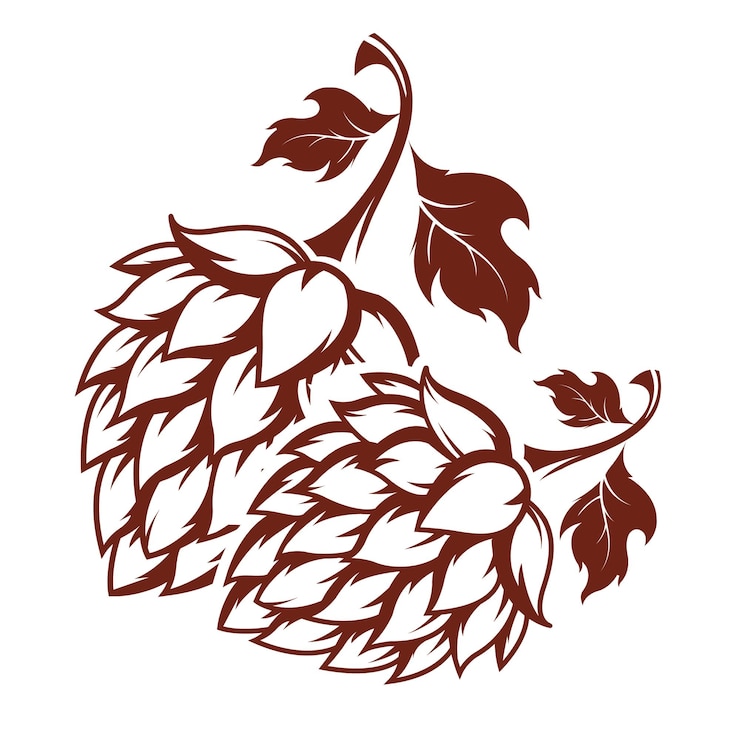Vector a drawing of a pine cone with a leaf on it