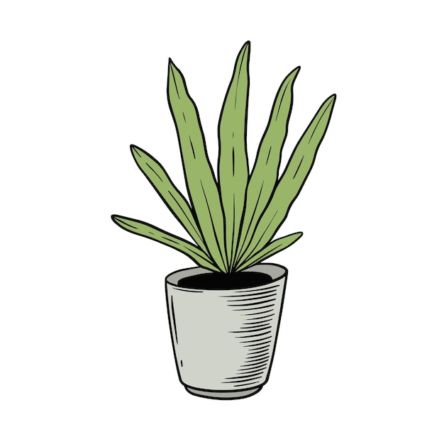 鉢植えの植物の絵