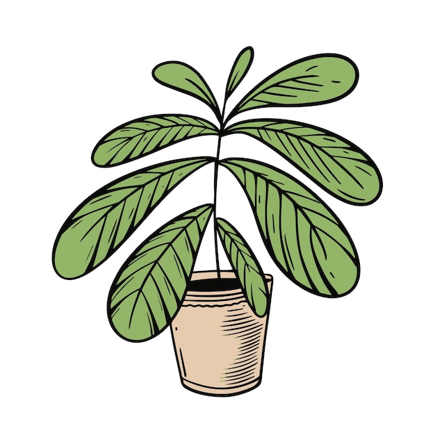 A drawing of a plant in a pot