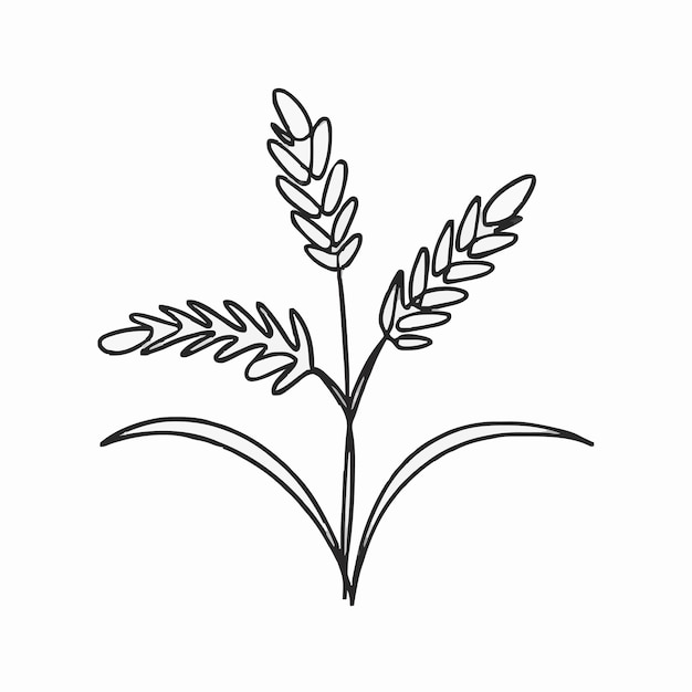 a drawing of a plant with a flower on it