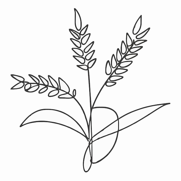 Vector a drawing of a plant with leaves on it