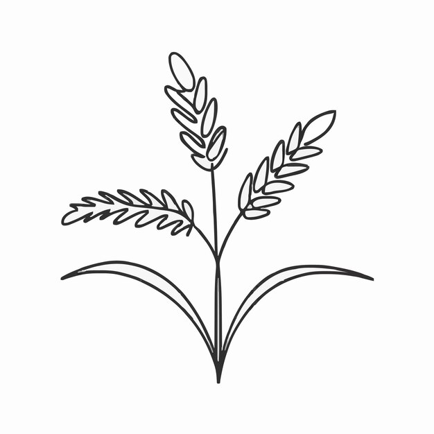 a drawing of a plant with leaves on it