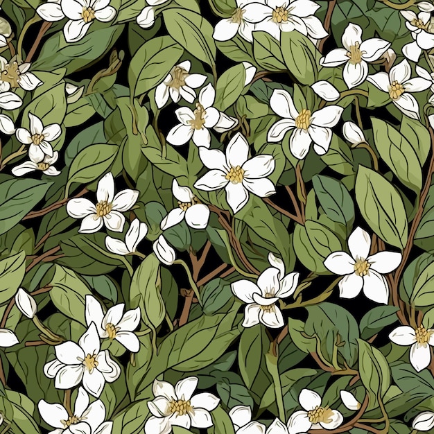 A drawing of a plant with white flowers.