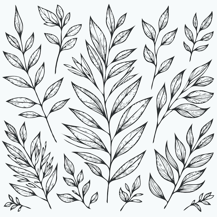 Vector a drawing of plants with leaves and the words quot leaves quot