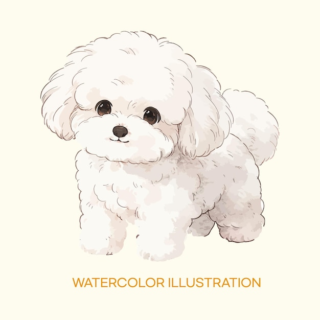 Vector a drawing of a poodle called the watercolor