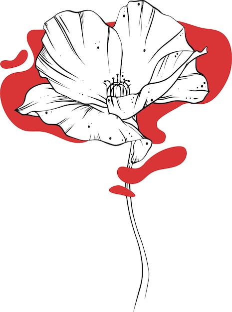 Drawing of a poppy with red spots around it