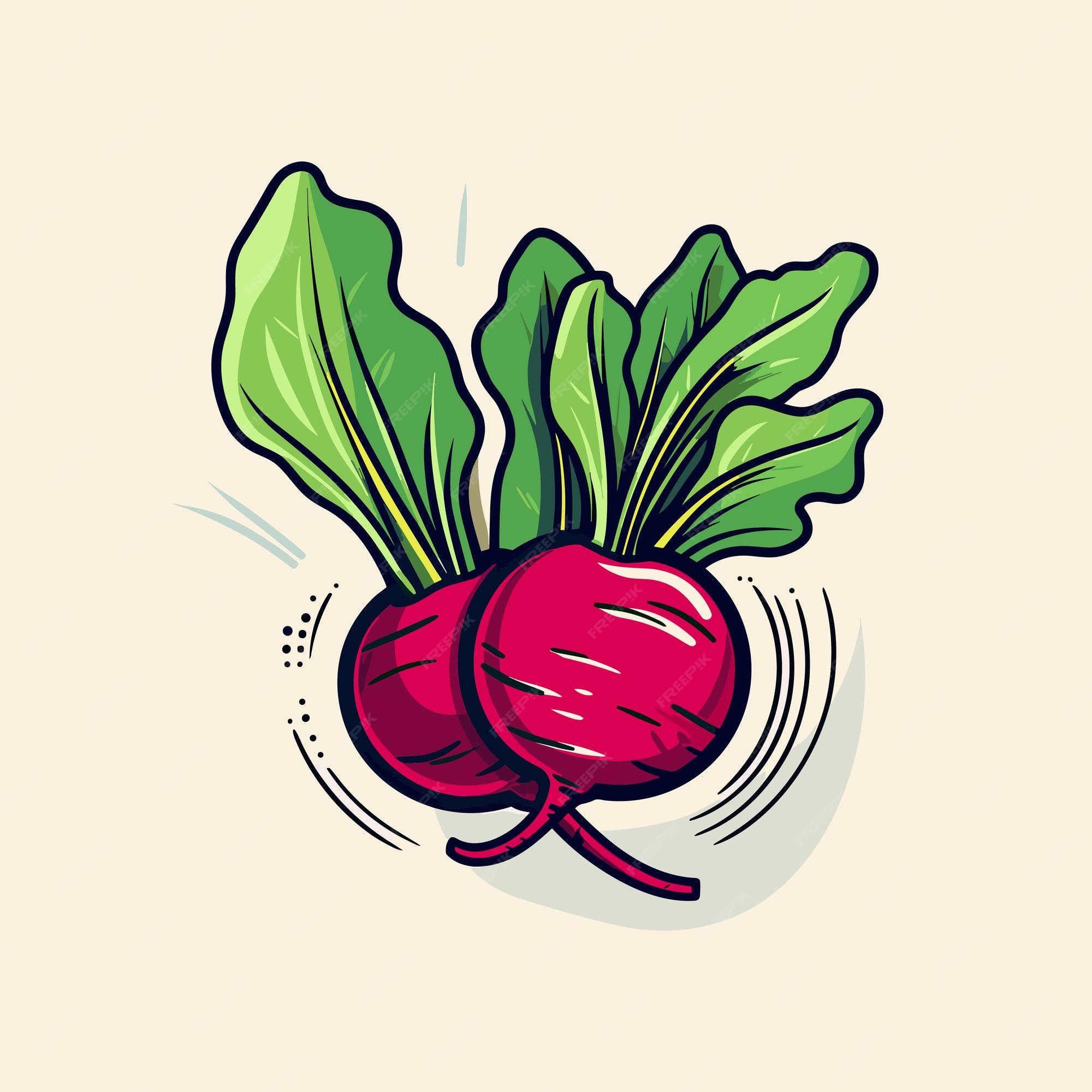 Vegetables. vector illustration © ddraw (#4483315)