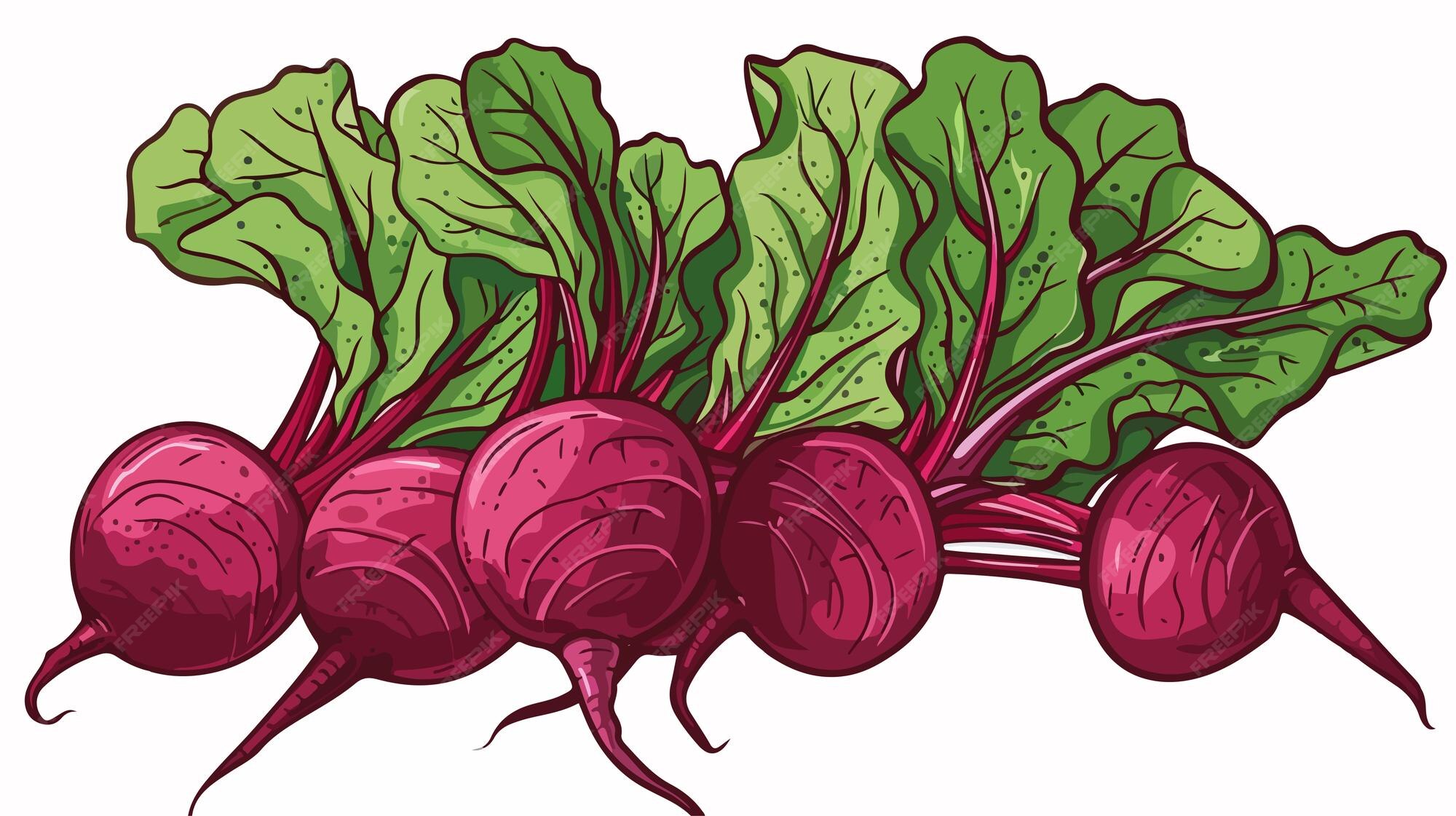 A drawing of radishes with a drawing of a radish Premium AIgenerated