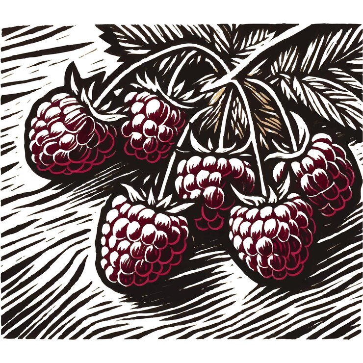 Vector a drawing of raspberries with a black and white drawing of a branch
